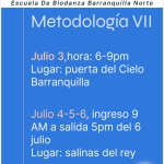 Maratona: Metodología VII. Elenco oficial de ejercicios de Biodanza
